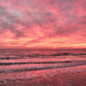 Meet your Posher, Jillian